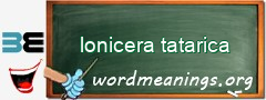 WordMeaning blackboard for lonicera tatarica